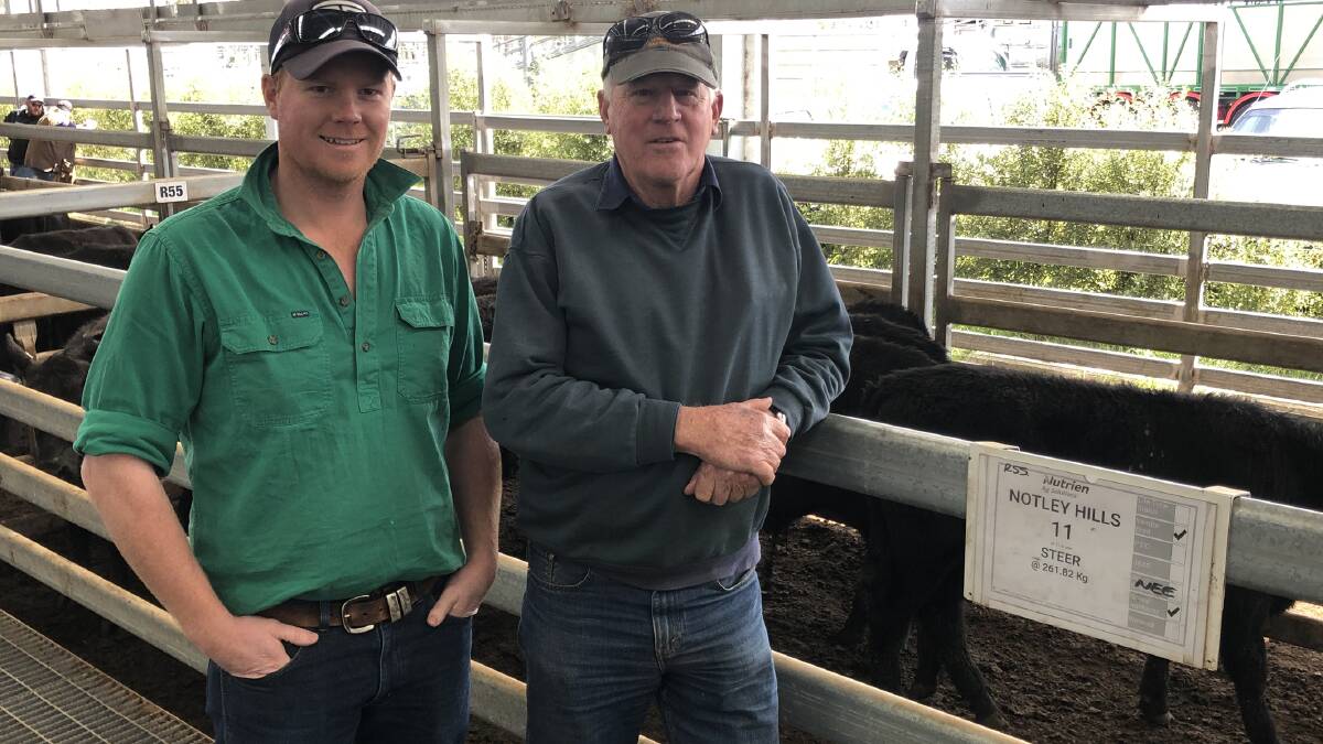 SELLERS: Andrew Miller and father Robert sold this pen of 11 Angus steers, December drop, 261 kilograms, for $1340 or 513c/kg at Powranna Thursday.
