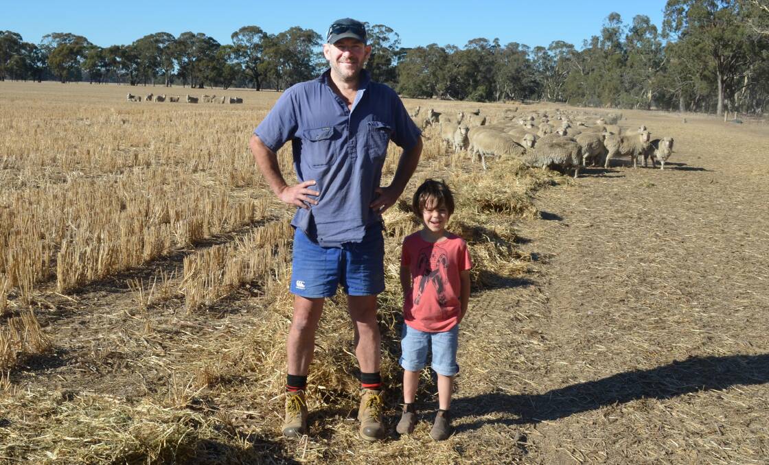 FEEDING: Glenorchy cropper Stew MacPherson, with son Archie, says feed tests are essential to ensure the best and most cost effective feed ration is available to meet ewe needs - particularly twin bearing ewes.
