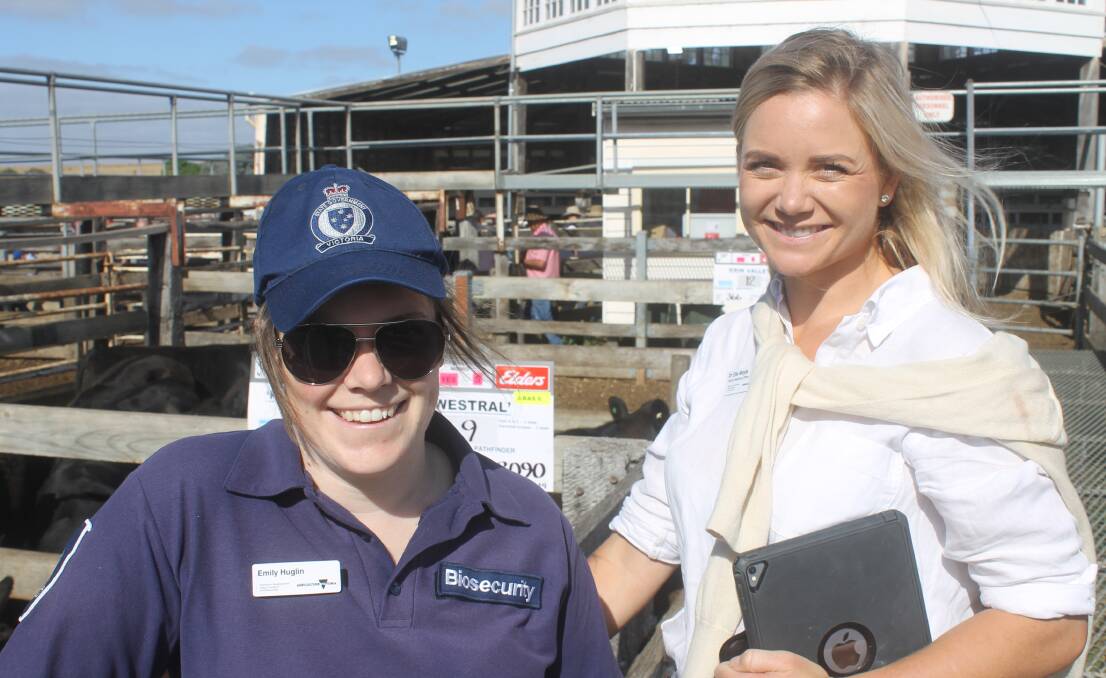 Agriculture Victoria Animal Health Officer, Emily Huglin, and District Veterinary officer, Elle Moyle, attended Casterton sale as a community engagement exercise checking on animal welfare, biosecurity and NLIS compliance.