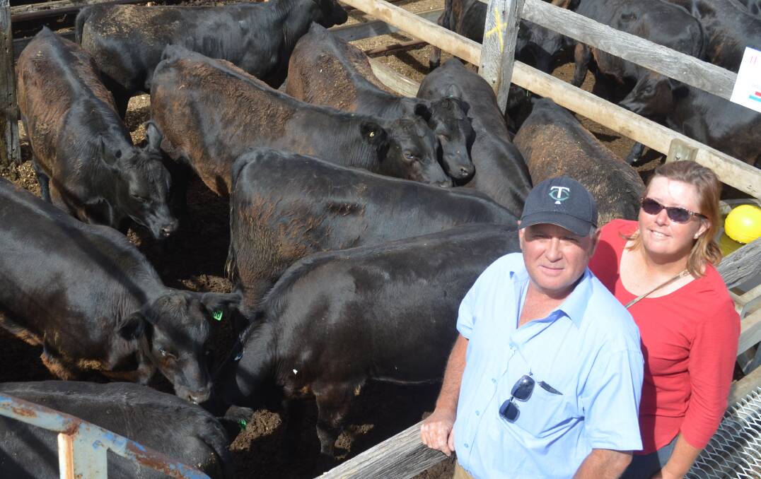 Peter and Robin Sinclair, Yandina, Corndale, sold a pen of 11 Angus steers weighing an average of 387kg - about 20-25kg heavier than 2017.