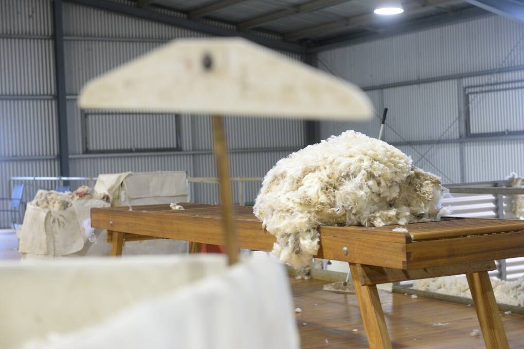 Fine wool is in the spotlight this week at auction sales, which have started the new year in positive territory.