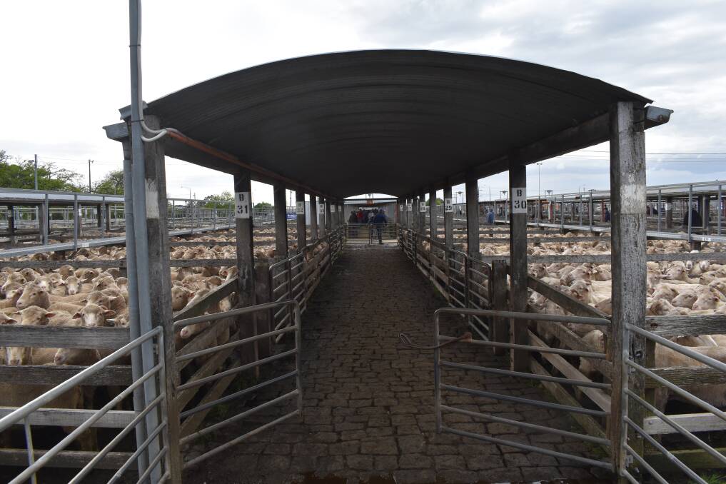 Last sale: After some 130 years in operation the saleyards at Ballarat's Delecombe site have fallen silent with the final sales held this week.