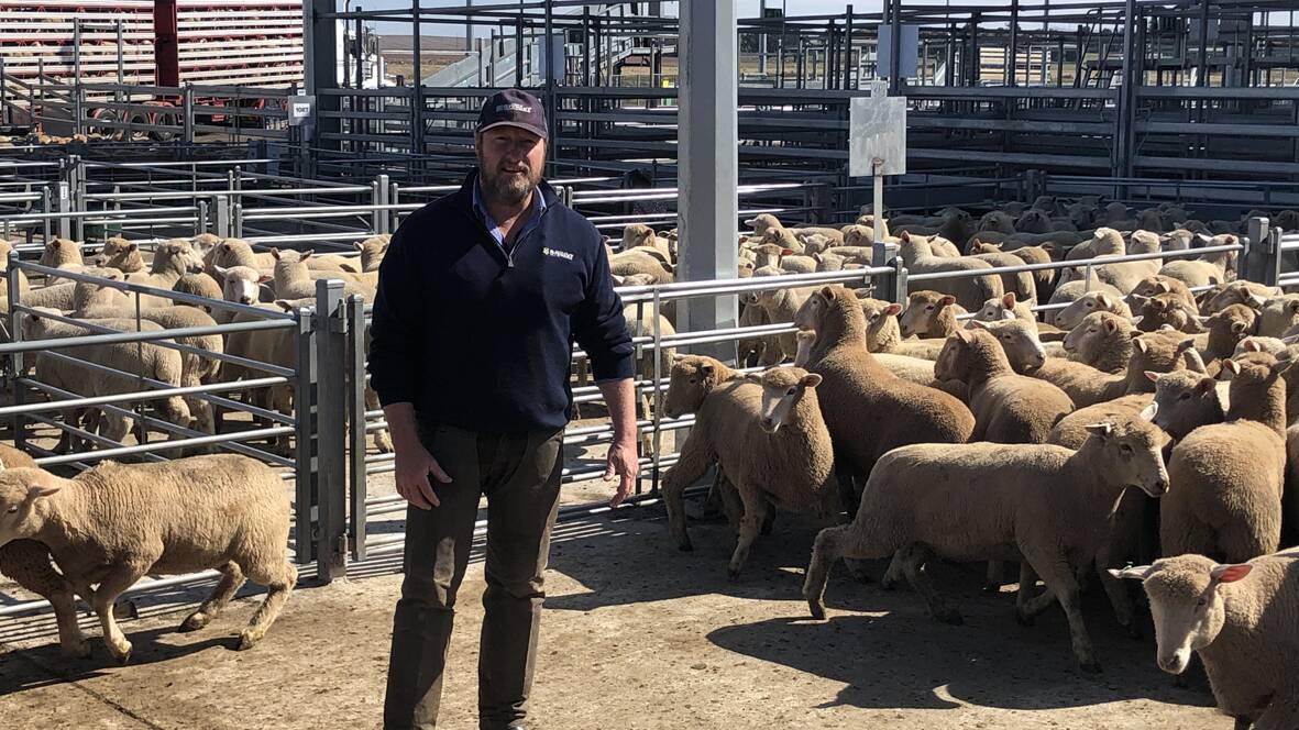 TRENDS: Charles Stewart & Co's Grant Daniell, said trade weight and lighter lambs sold at slightly dearer rates at Ballarat Tuesday.