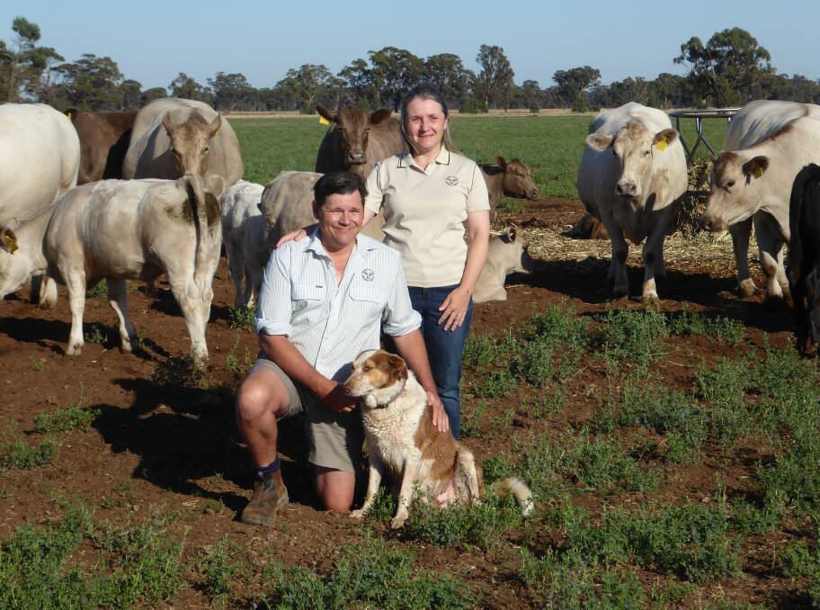 Brett Davidson and Sarah Chaplin, Mount Major Murray Grey stud, near Dookie, say the evolving grass fed markets are a boon for the breed. Photo by Maisie Davidson.