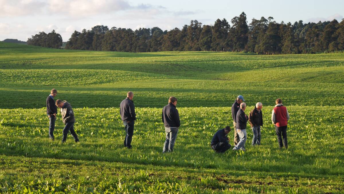Opportunity: The eight-day NZ Study Tour provides an opportunity to engage and learn from representatives of the Federated Farmers of NZ, and includes visits to farms, processing companies, research and extension facilities and networking with farmer groups.