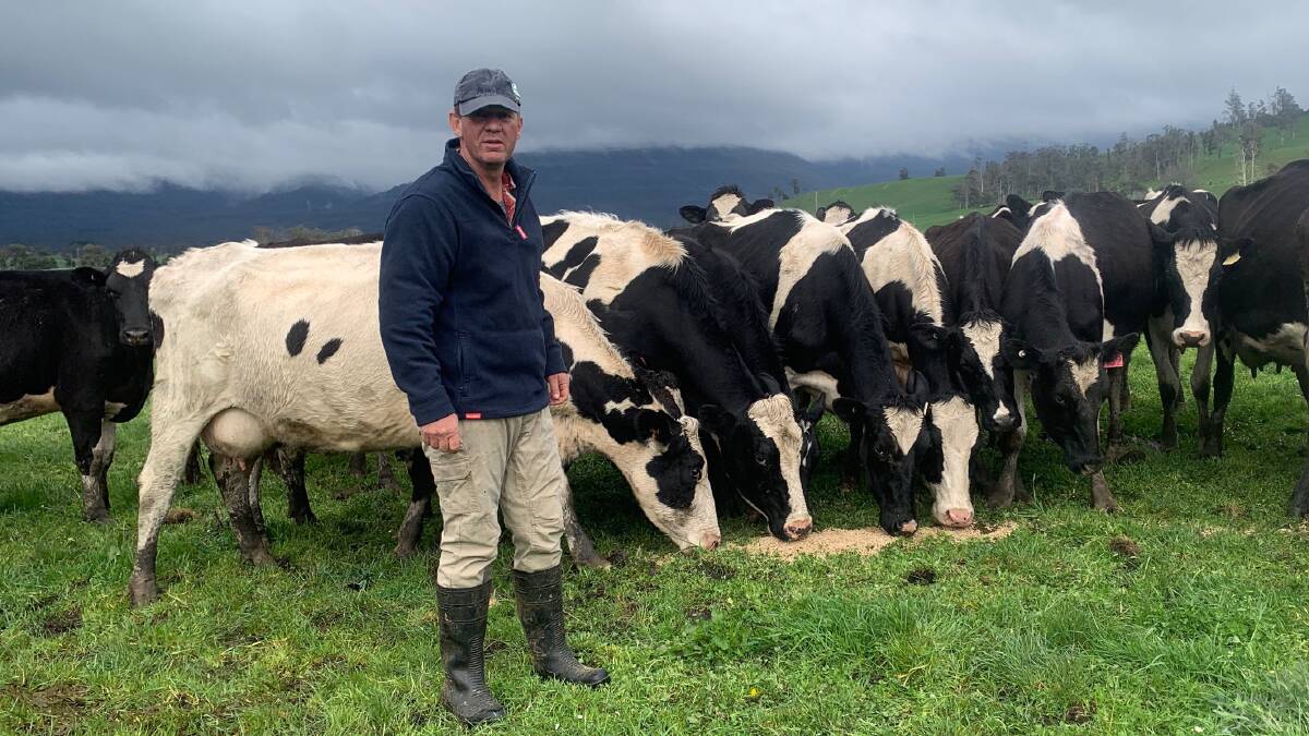 TESTS: Tasmanian dairy farmer, Brent Atkins, said the DNA testing technology was available and testing was so easy "we should take advantage of it".