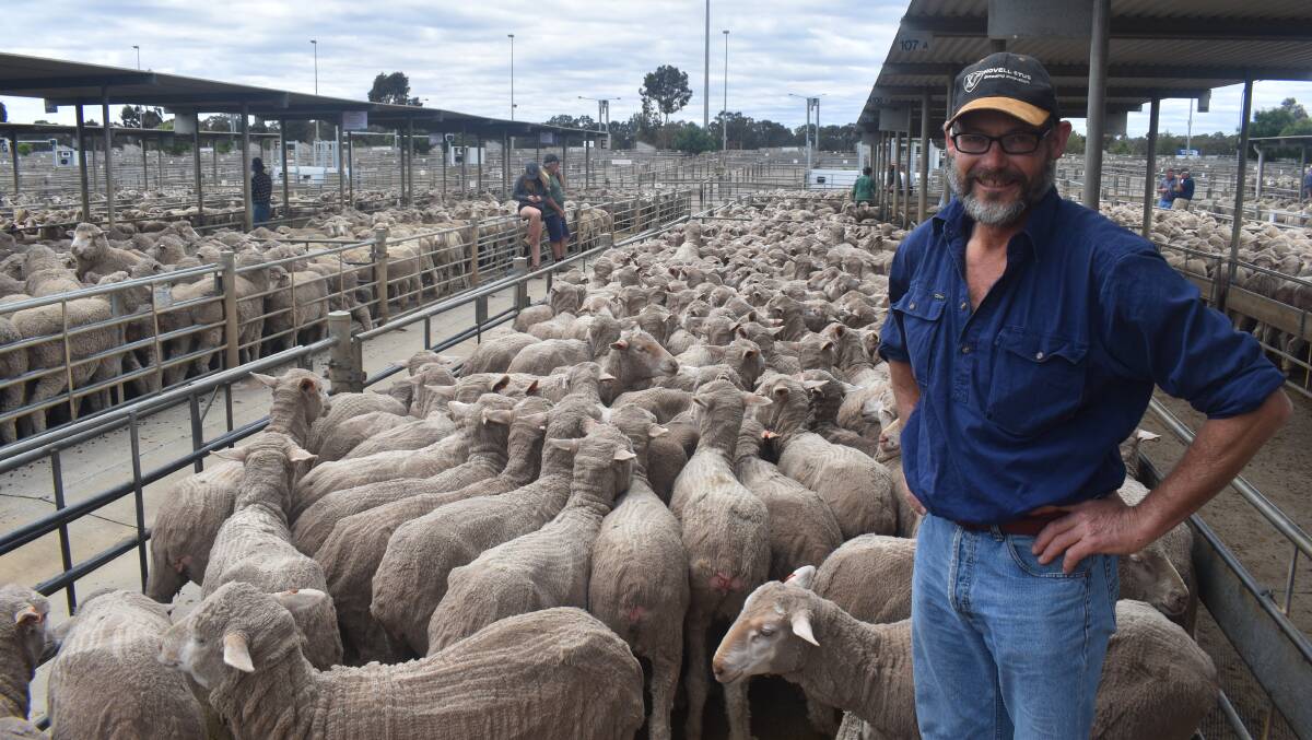 RESTOCKING: Corryong-based Stephen Hill was at Bendigo to restock after having his flock declared positive for Ovine Johnes.