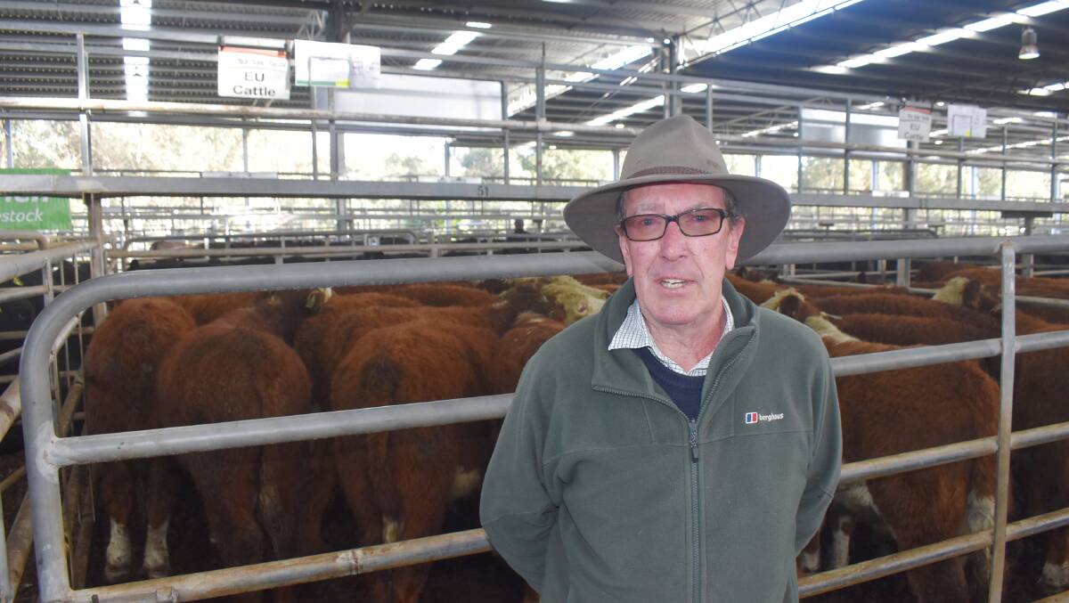 BUYER: Graham Boone, Boorolite, was a successfull purchaser at Yea taking two pens of the Molesworth Herefords paying an average of 466c/kg for 41.