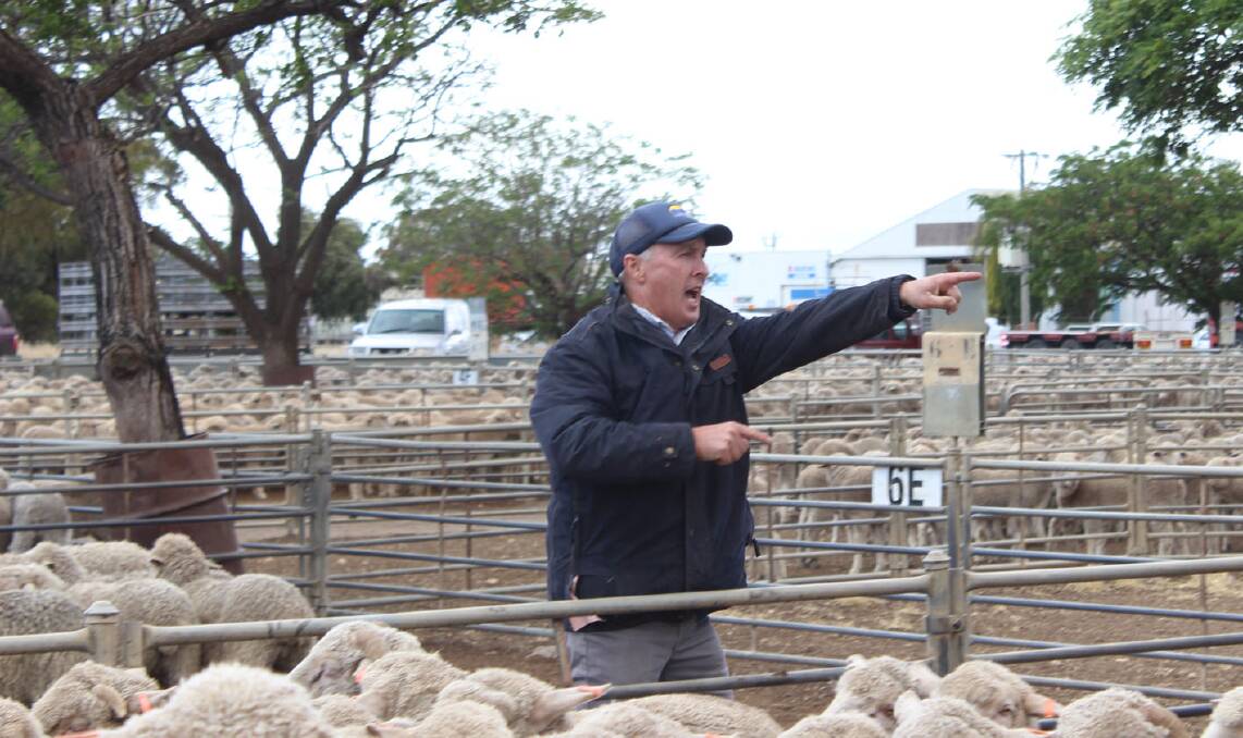 RETIRING: BR&C's Joe O'Reilly called his last store sheep sale recently before he retires from the agency business on December 23 after 30 years. Photo supplied.