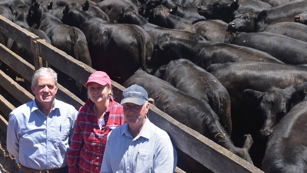 BIG LINE: Buyer of this line of 100 steers at Hamilton on Monday was Camilla Graves, Kernot (middle), who was stocking a recently purchased property, pictured with agents Michael Everitt and Les Seeley, Everitt Seeley & Bennetts, Pakenham.