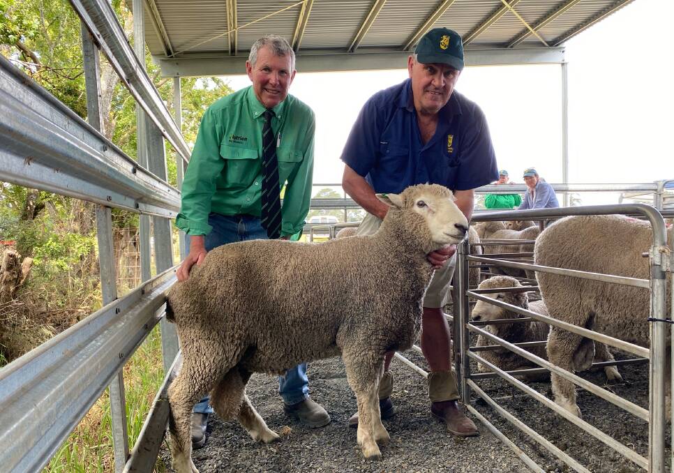 QUAMBY PLAINS: Top priced Corriedale ram at $3400 at the Quamby Plains with selling agent Jock Gibson, Nutrien Livestock, and Richard Archer, Quamby Plains, Hagley, Tasmania. 
