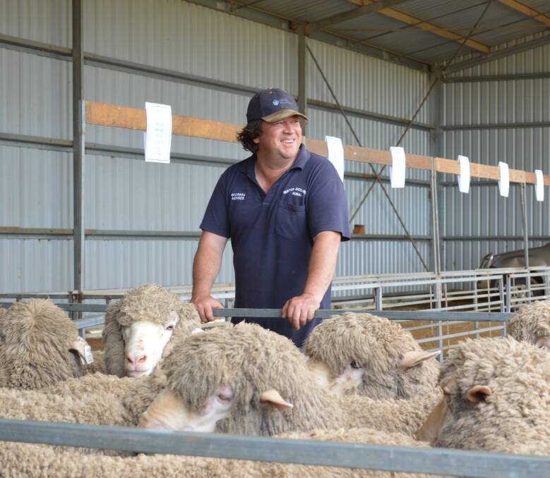 Happy sale: Boorana Merino stud principal, Will Lynch, was pleased with the result of this year's sale which averaged $1707 and sold all 72 lots.