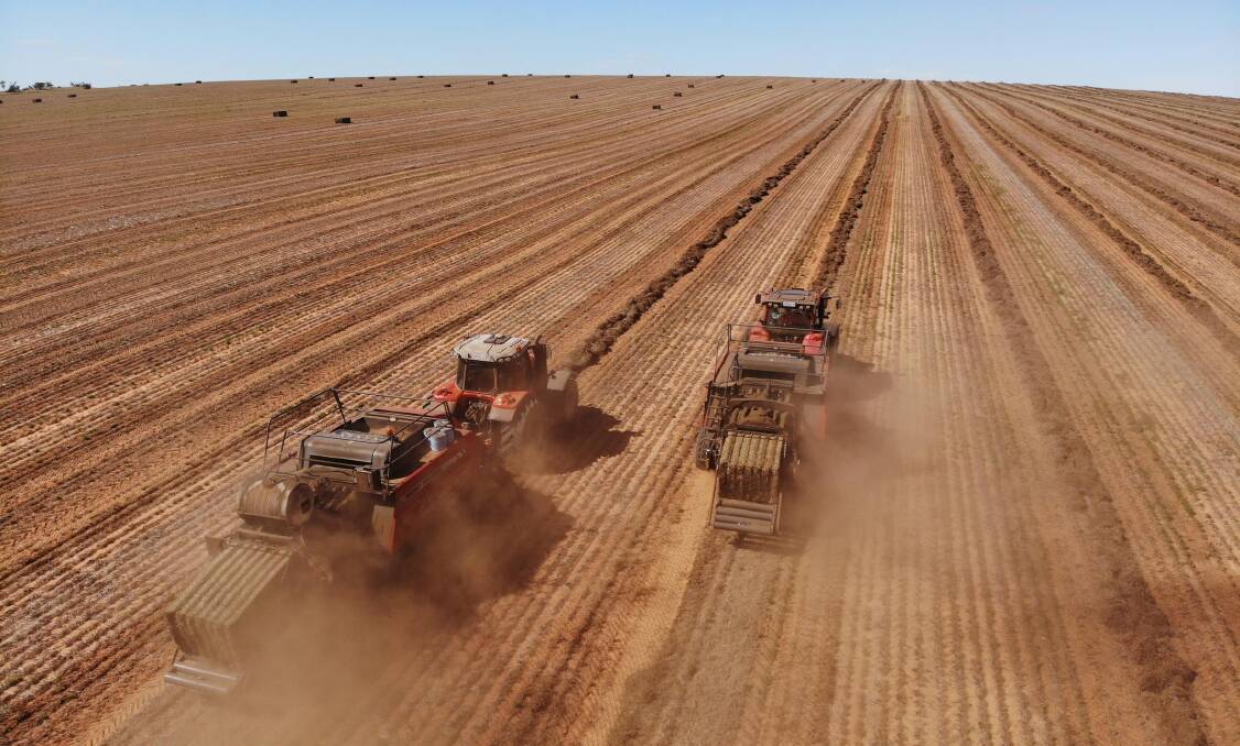 MALLEE: Jacob and Wayne Marshall from Bundy Ag baling vetch hay at Cowangie before recent rains. Photo by Jacob Marshall.