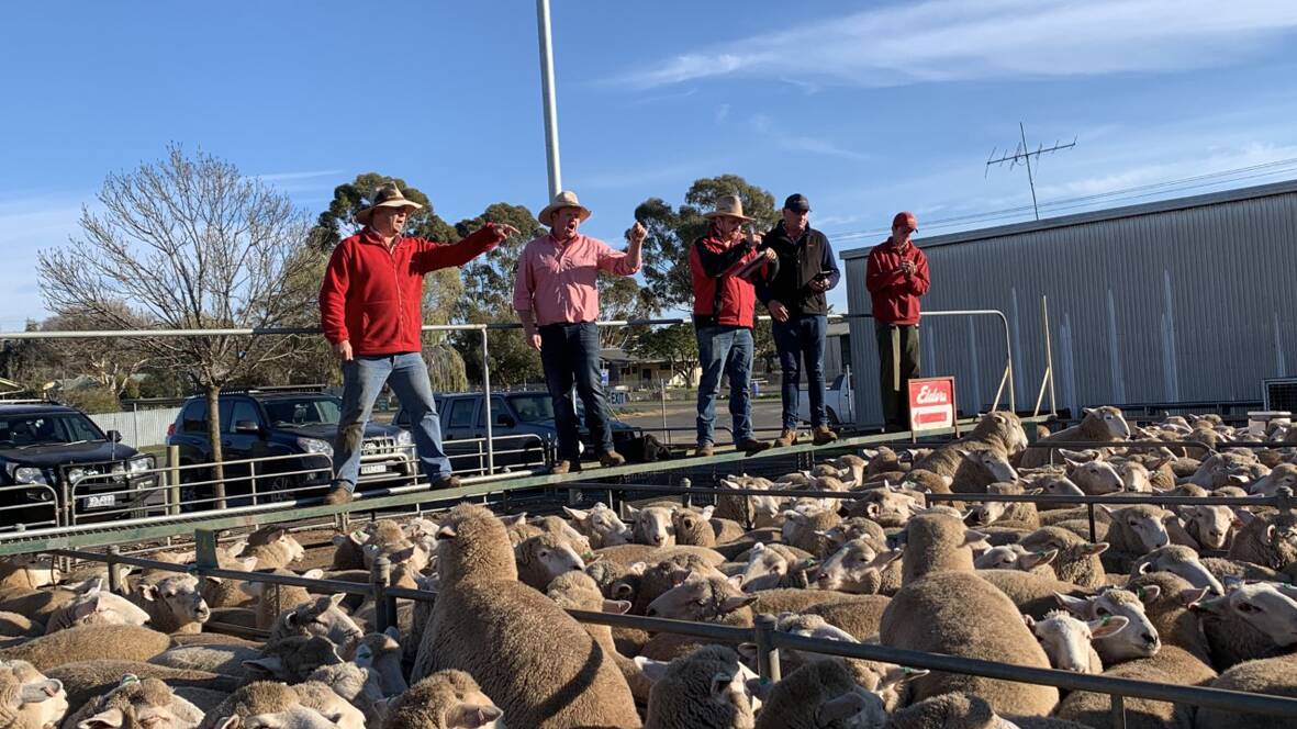 FLOW: Funding for the replacement of some pens at Ouyen Livestock Exchange will improve efficiency and capacity.