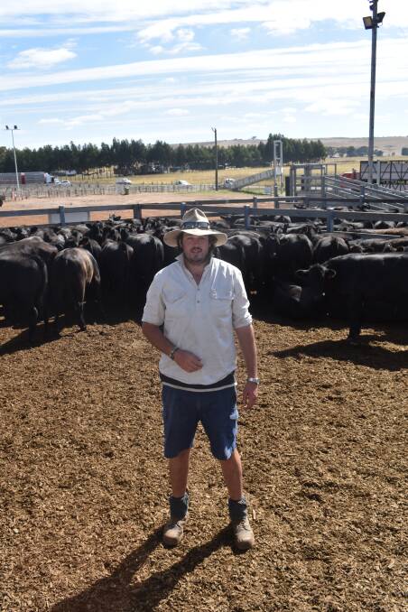 The Gums: Nathan Faroe, The Gums, Casterton, forwarded a draft of Boonaroo steers with these 69 selling for 314c/kg or $1161 a head.