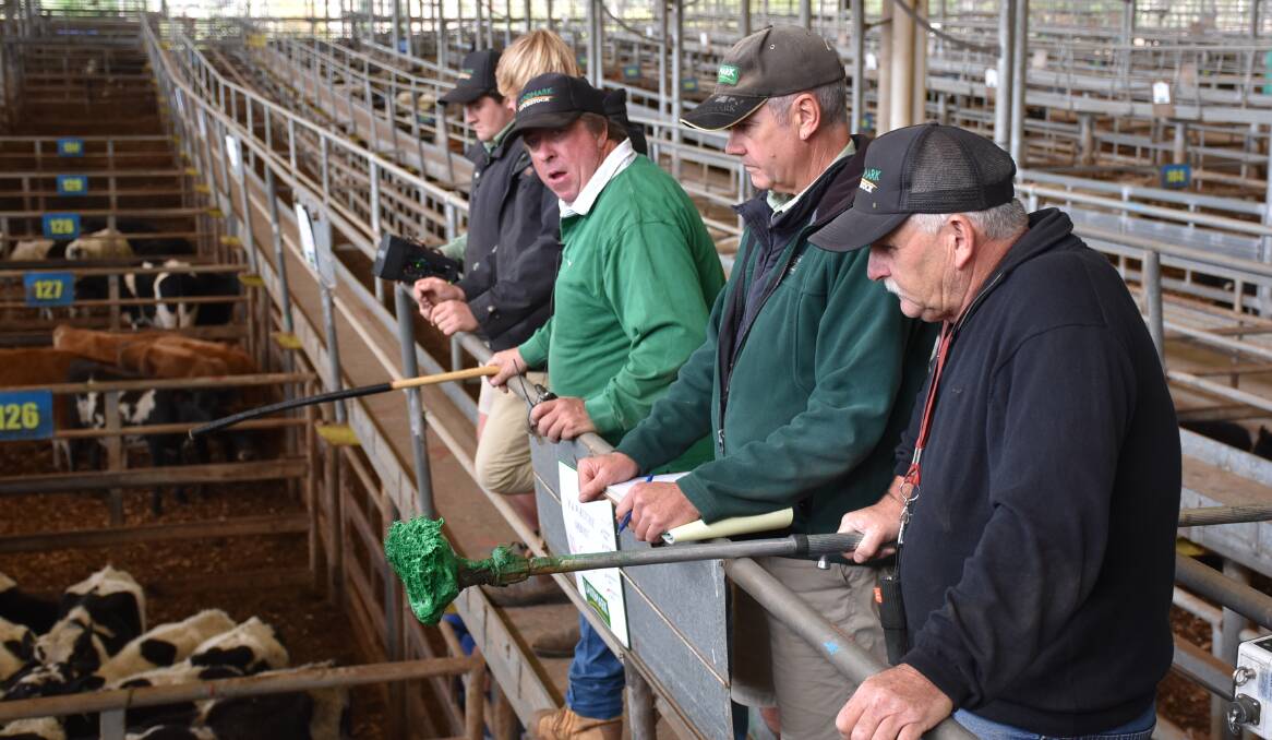 Prices up: The Landmark selling team at a recent Leongatha sale. Last week's store sale saw a good quality selection of cattle yarded, with prices taking a jump compared with recent sales.