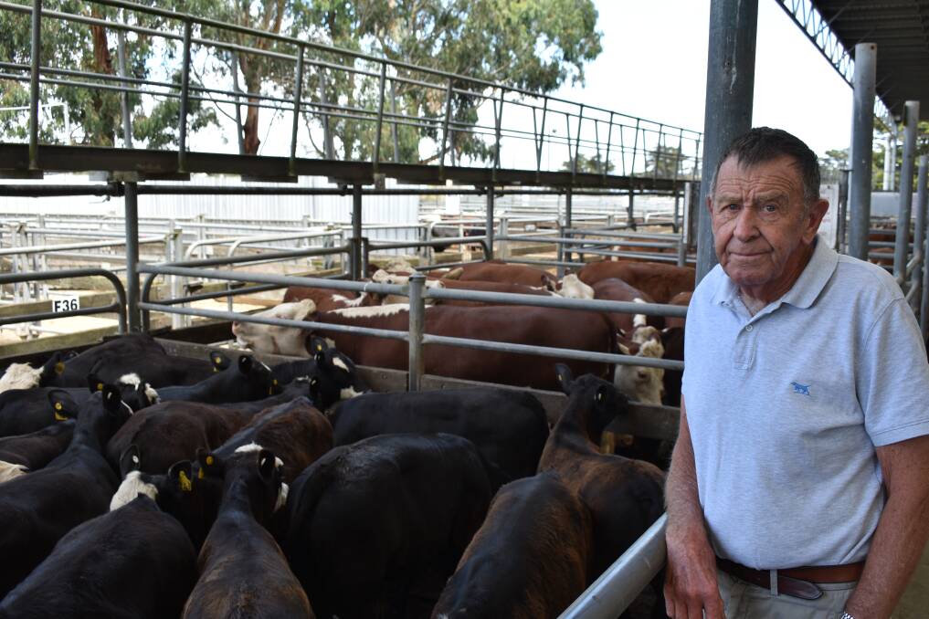 Top presentation: Norm Stewart, Mount Pleasant, Winchelsea, sold a draft of 24 Hereford cows with black baldy calves at foot for $1780 at Colac.