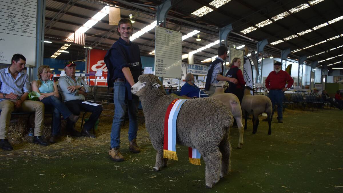 Long wool: Billy Rowe, Bilcor Corriedales, Pakenham, with his entry that took out the cha,pion long wood sheep of the show.