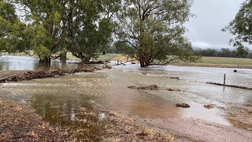 DELUGE: This is what 65mm between 3am and 11am Thursday looks like at Swanpool south of Benalla.