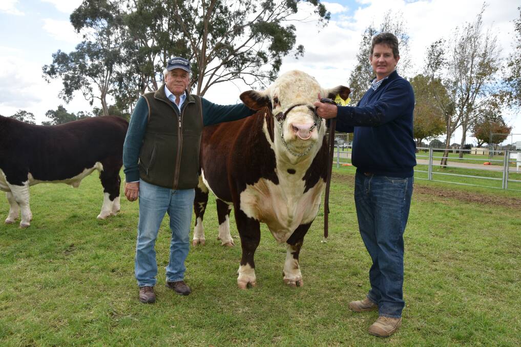 SALE CHANGE: The sale component of the Hereford Wodonga National show and sale will be held online through the AuctionsPlus system.