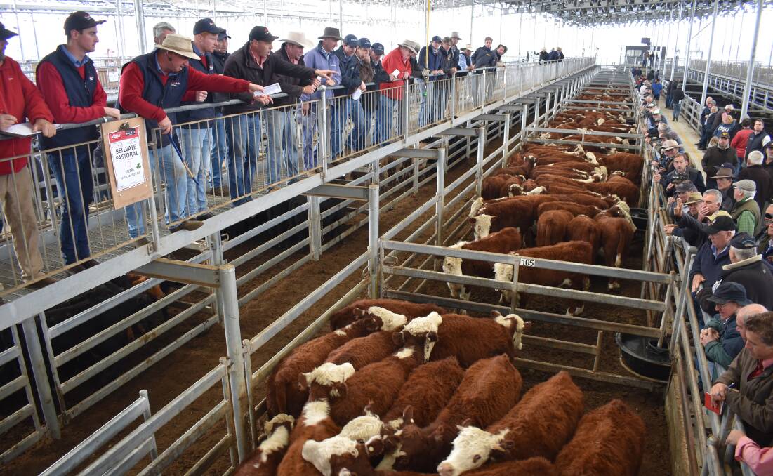 SELL-OFF: The south-west and western districts still selling off livestock as winter and slowing pasture growth kick in.