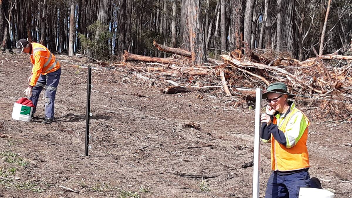 VOLUNTEERS: BlazeAid volunteers, Ross Wright, Melbourne, and Ian Trezise, Mornington Peninsula, fencing as part of the bushfire recovery process.