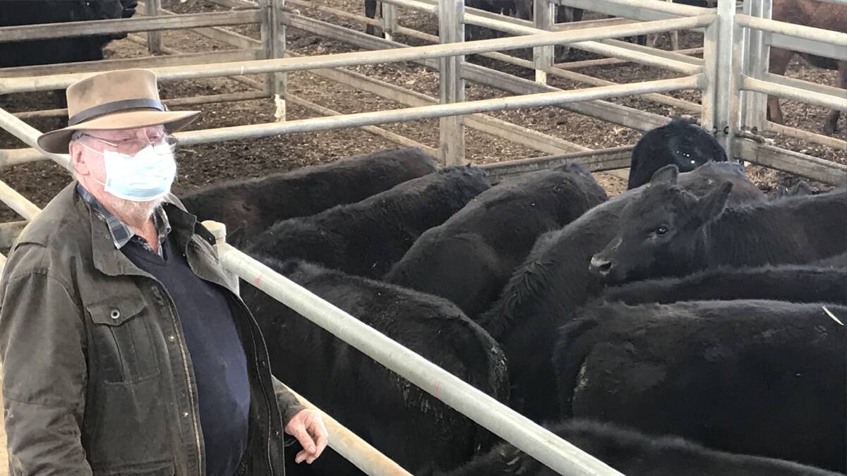 BUYER: Barry Smith purchased this pen of Angus steers, estimated weight 330kg, for $1400 at Echuca Monday.