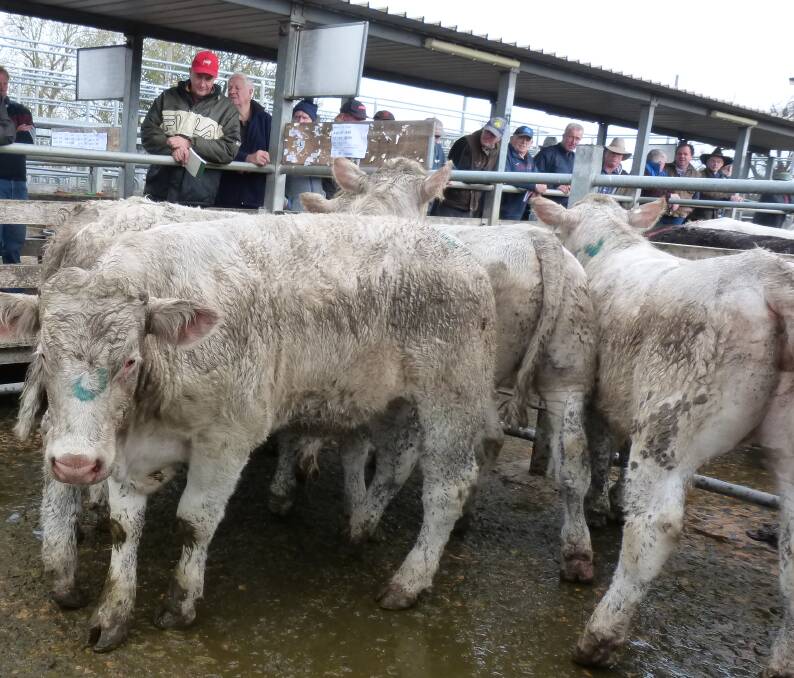 Warragul: Victorian Livestock Exchange (VLE) has purchased Warragul saleyards from Baw Baw Livestock Exchange.