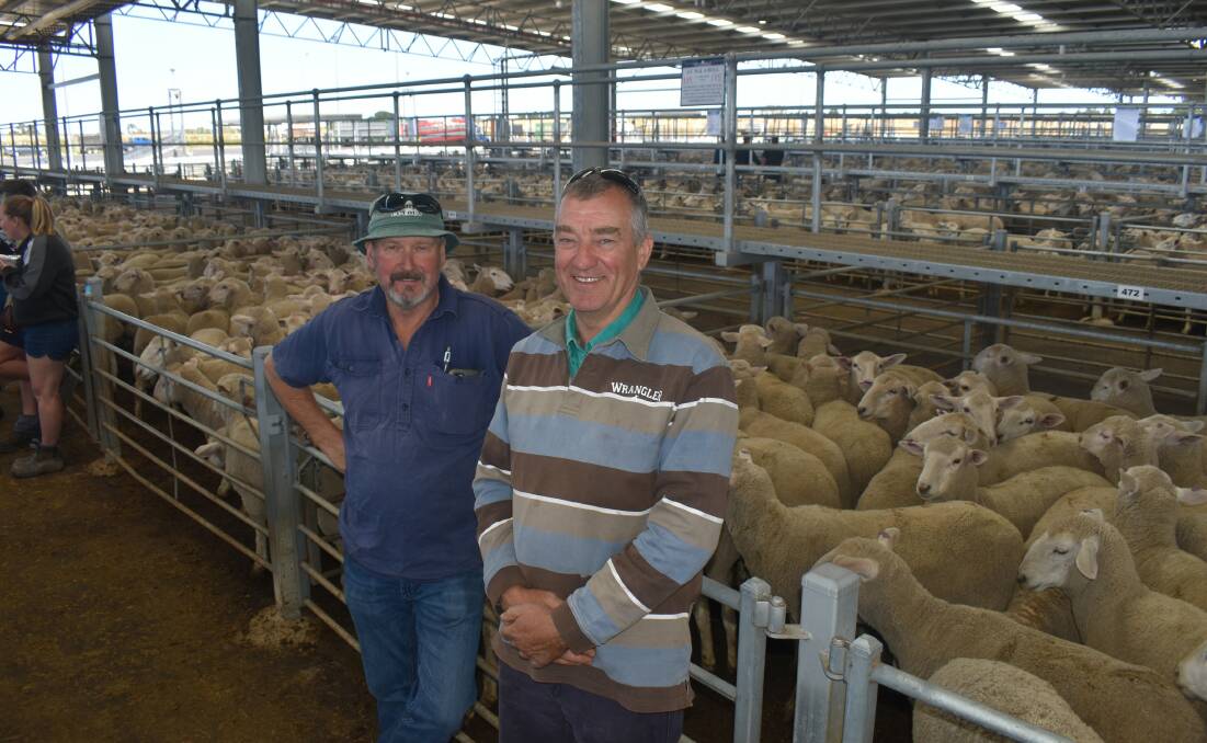 VENDORS: Vendors at the Ballarat sale included Murray Cook, Clunes, who received $408 for 1.5-year-old ewes, and Malcolm Hull, Clunes, who sold ewe lambs to $270.