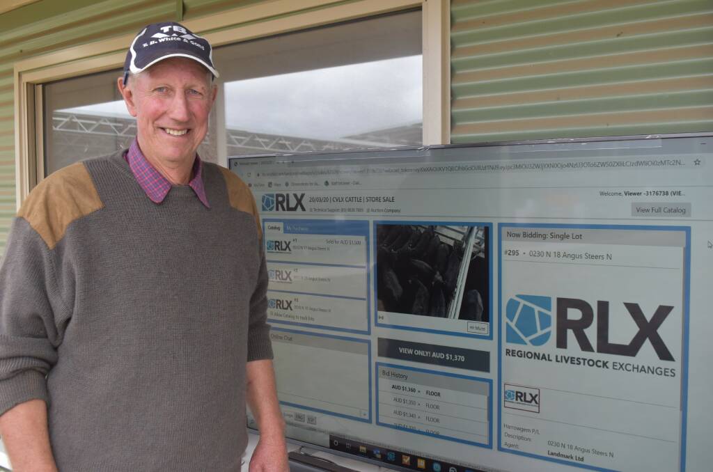 ON THE SCREEN: Greg Shaw, Langdons Hill, stopped by to see the live stream of the auction at Ballarat where he sold a pen of steers for 400c/kg, up 122c/kg on his 2019 draft.