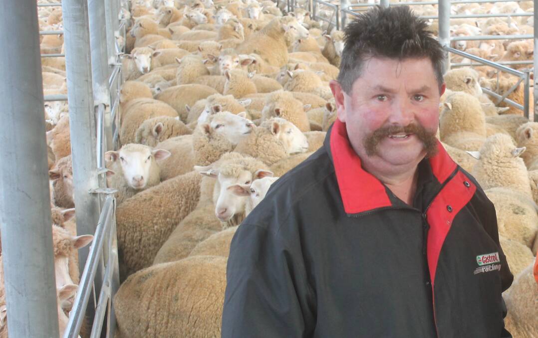 TOP AGAIN: Dean lamb producer Andy Maher, who topped today's lamb sale at Ballarat with a line at $300, pictured in July last year when he also set a record of $267 at Ballarat.