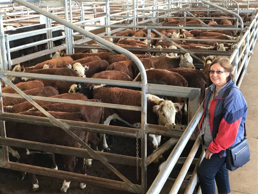 INTERSTATE: Anne Campbell who with Dean operates Finchley Pastoral Pty Ltd, Delegate, NSW, had a large draft of Hereford and Red Composite cattle at Bairnsdale on Friday. Photo supplied.