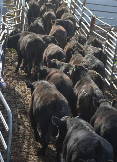 MOVING: Cattle heading south to north could change.