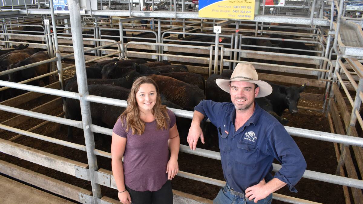 Colac lighter steers and heifers sell strongly