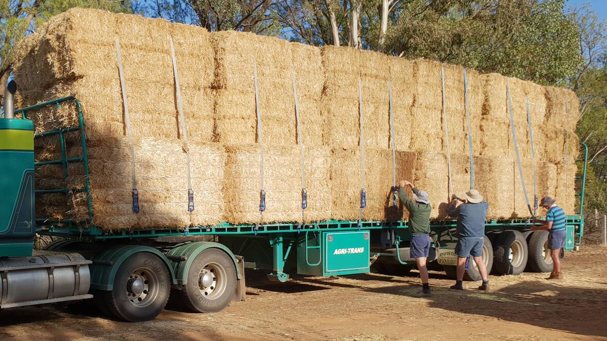 HAY: The delivery of hay to fire affected areas had now switched from immediate delivery to a 'drip feed' supply over the next couple of months.