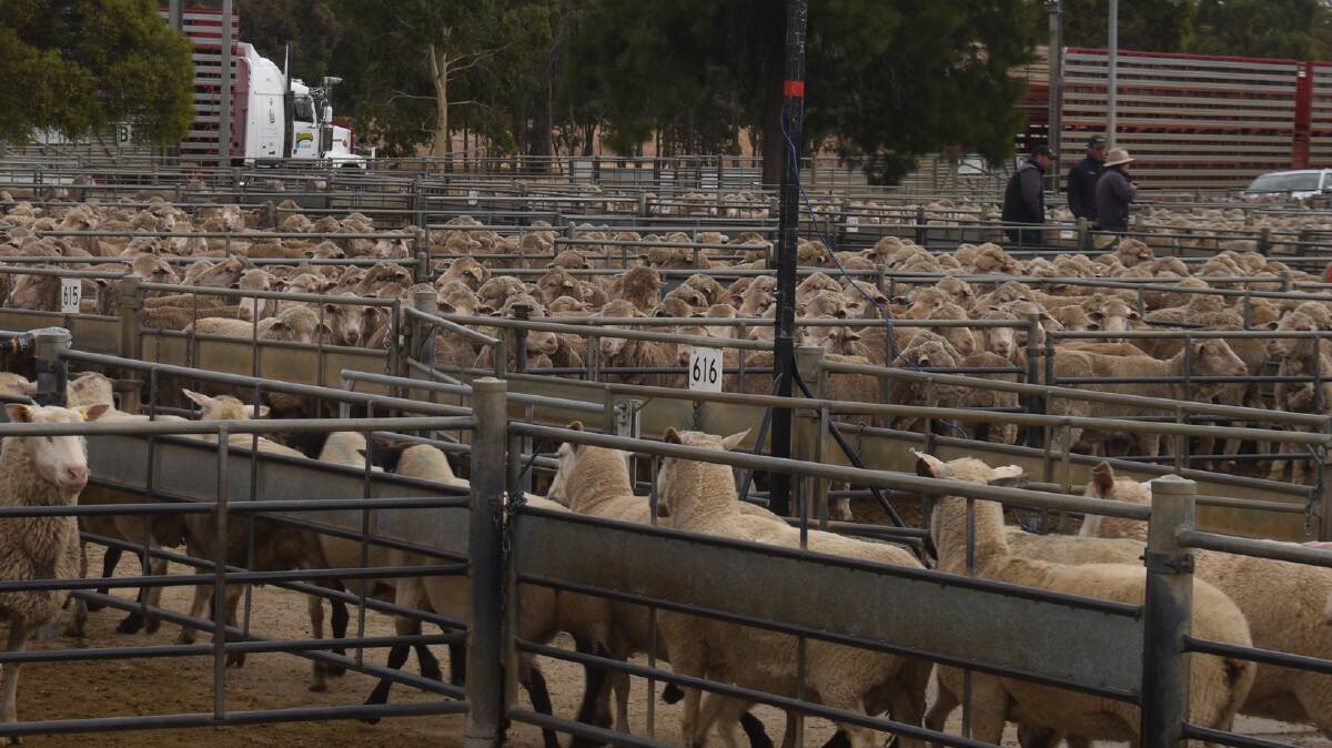The grants fund projects that provide innovative solutions, used emerging technologies and tackled livestock biosecurity issues, needs or gaps for the industries.