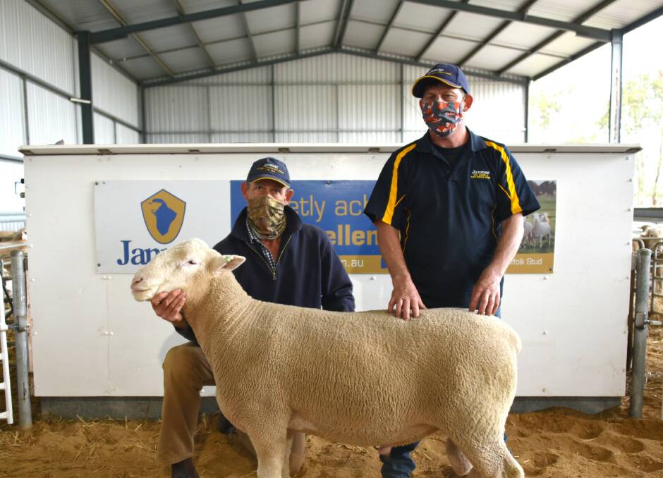 TOP: Grant and Bryce Hausler with the top priced ram, Lot 20 at $11,250 bought by the Kelly Ffamily of Zacman Poll Dorsets, Naracoorte, SA. Photo Janine Elen.