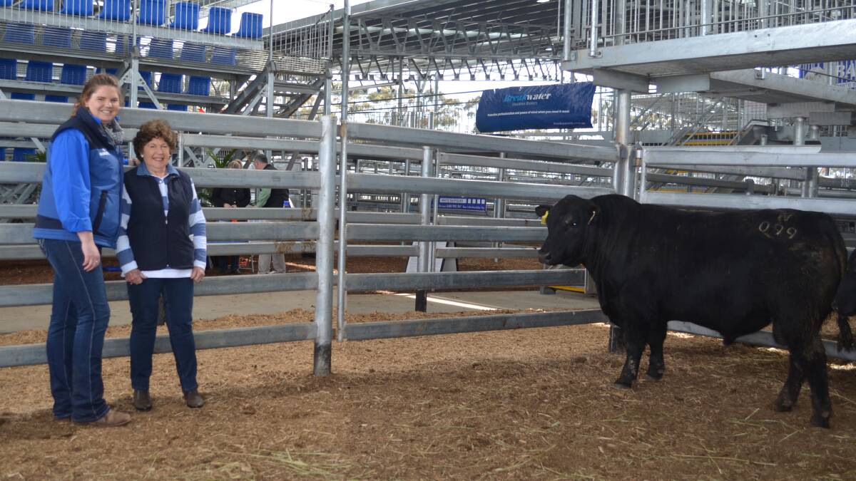 Top price: Dianna Branson, Banquet Angus, Mortlake, with one of the buyers, Margaret Patterson, Drysdale, Ballangeich, of the top priced bull at $32,000 paid for Banquet Nixon N099.