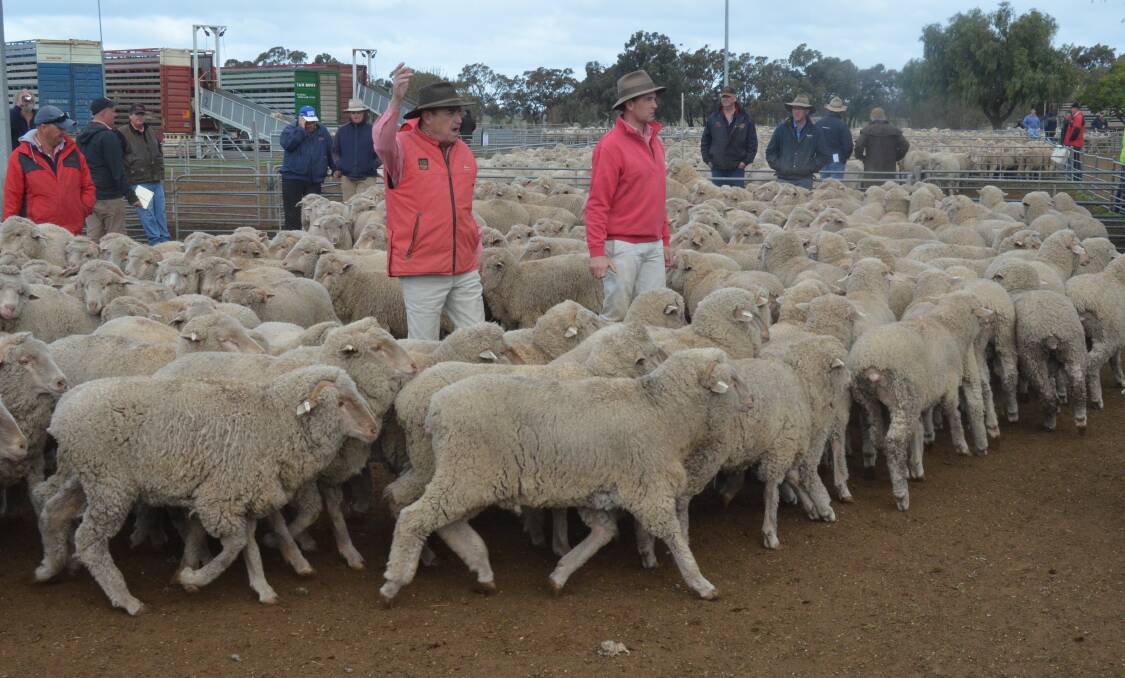 Buyers selective at Wycheproof sheep sale