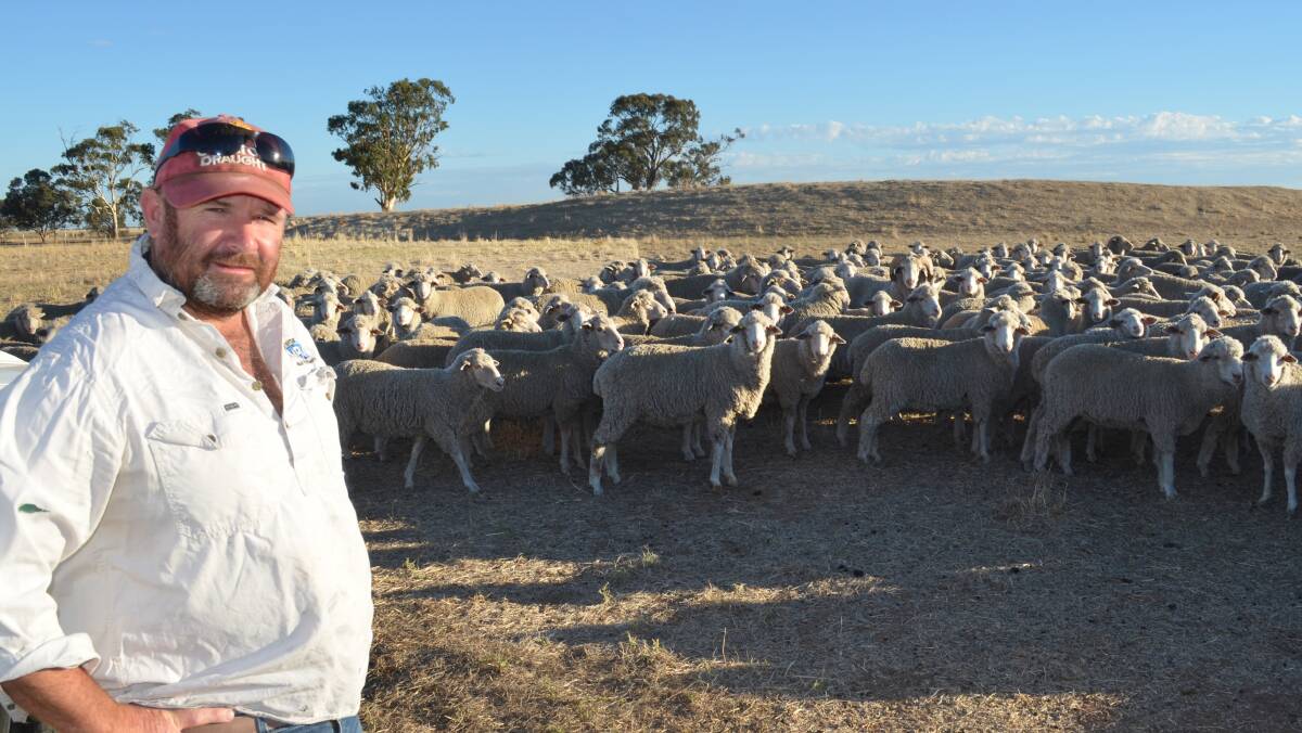 NO MULESING: Marnoo sheep breeder Den Duxson said the writing was on the wall for mulesing when competitors do not.
