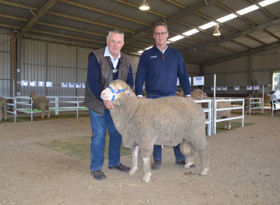 Top price: Burnside Ag, Lismore, paid top price of $4750 for lot 3 at the 29th annual Terrick West Poll Merino sale. Pictured with the ram is stud principal Ross McGauchie and buying agent Tim Lord, Arcadian Wool, Geelong.