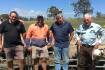 Tasmanian lambs sell to slightly flat trend