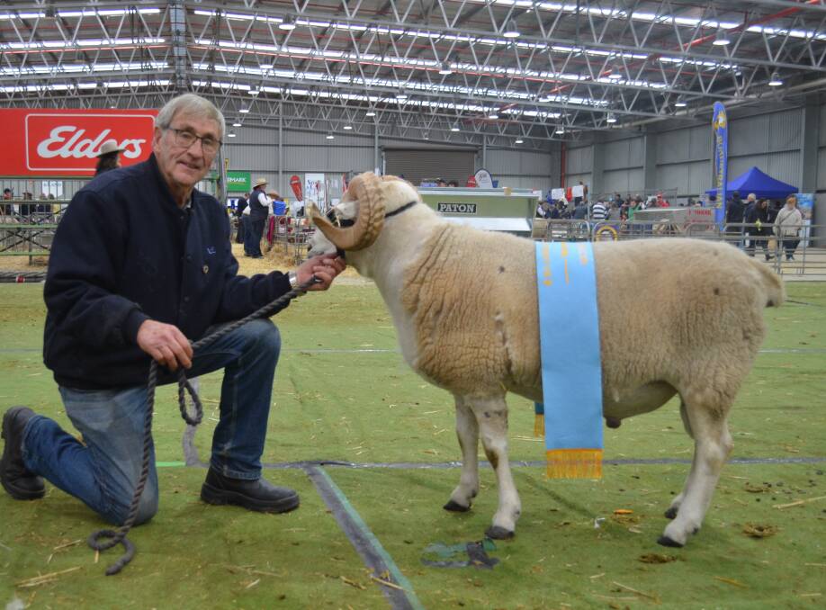 Wiltshire Horn: Supreme Wiltshire Horn exhibit was shown by Ray Newman, Muskdale stud, Axedale.