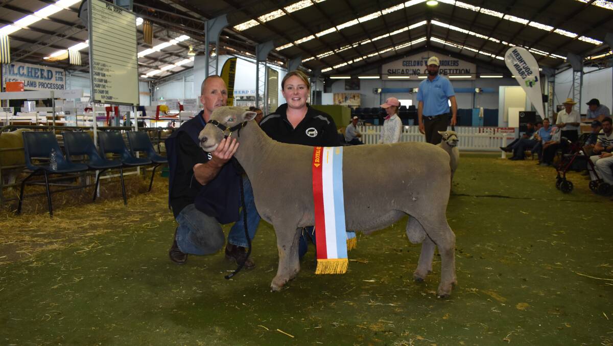 Supreme ram: Andrew Hogarth and Aneika Croswell, Kirkdale Southdowns, Evansdale, Tasmania, with the interbreed champion ram of the show.