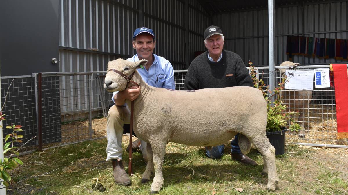 Record: Chandpara Southdowns principal Andrew Sellers-Jones, Tylden, with the record breaking ram at $7500 and buyer Henry Cameron, Athlone, Penshurst.