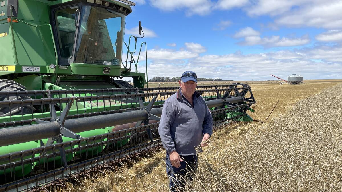 HOLD UP: Ian Porter said consistent light falls of rain had delayed harvest including this paddock of wheat, on the worst soils, that was yielding 4.5 tonnes a hectare.