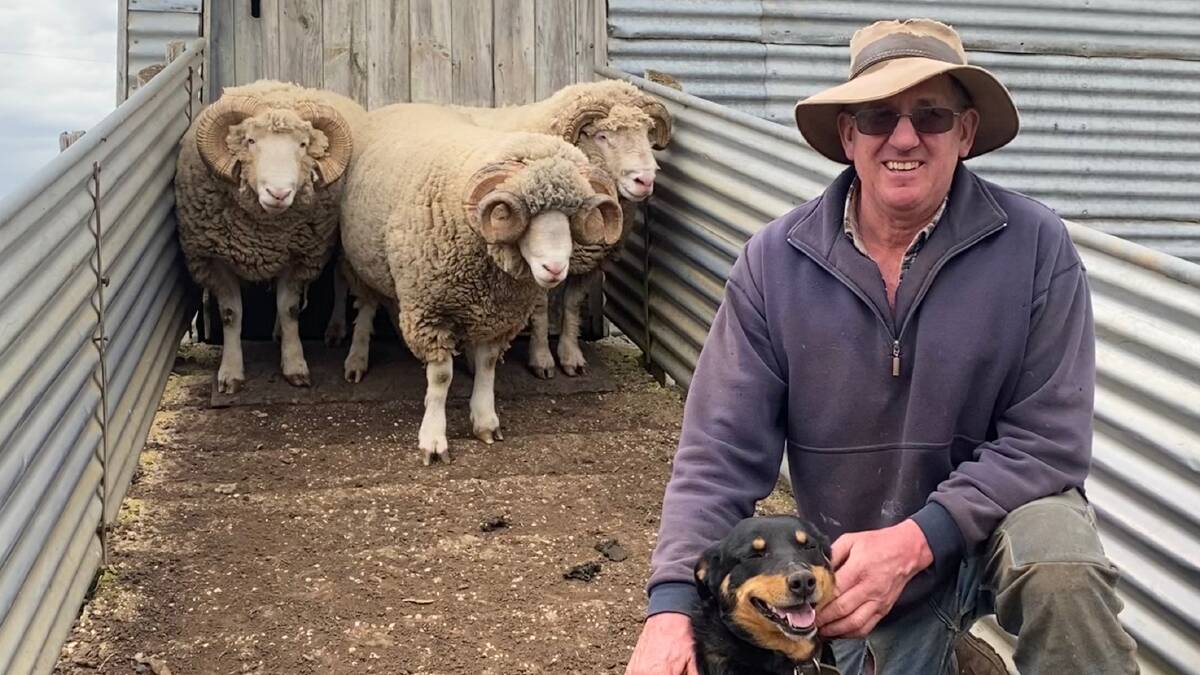HISTORY: Victorian sheep producer Robert Grieve, Clarkes Hill, operates the oldest Dorset Horn stud in Australia, pictured with dog Ruby.