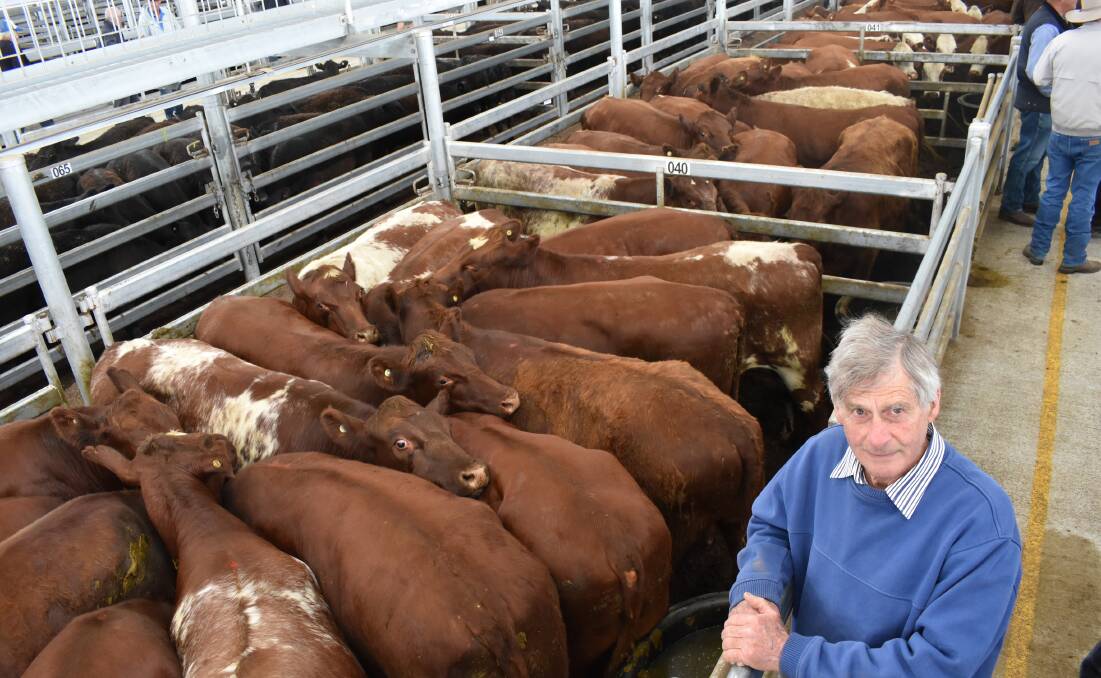 Beef Shorthorns: Daryl Clark, Rockgrove, Darlington, sold a pen of 29 Beef Shorthorn steers, 18-20 months old, weighing 552kg, for 285c/kg to Elders Korumburra.