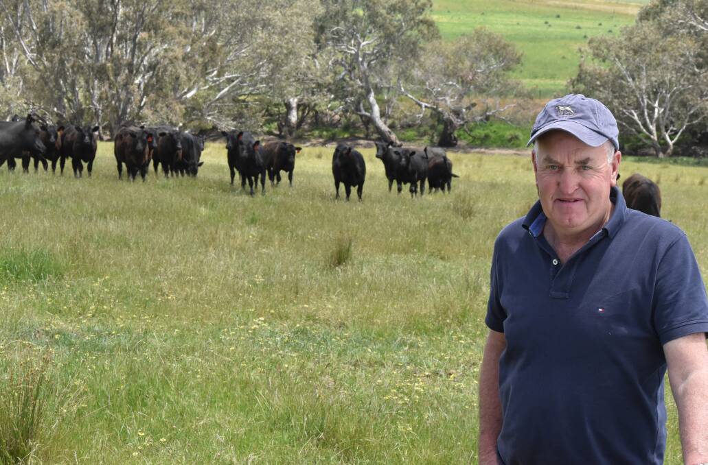 Genetics: Jim Shaw says the modern Angus genetics has given their herd unprecedented growth rates.