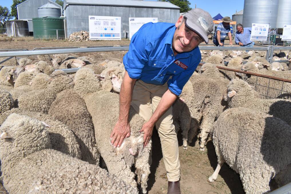BREECH RESULT: Steinfort AgVet managing director  Dr John Steinfort shows an ideal result on sheep treated with his breech modification technique that uses liquid nitrogen.